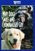 Why Dogs Smile and Chimpanzees Cry