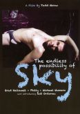 The Endless Possibility of Sky