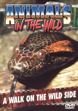 Animals in the Wild, Vol. 2: A Walk on the Wild Side