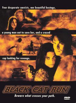 Black Cat Run