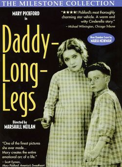 Daddy Long Legs