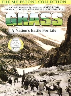 Grass