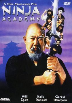 Ninja Academy