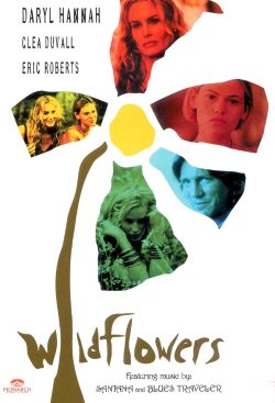 Wildflowers