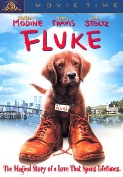 Fluke