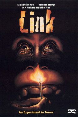 Link