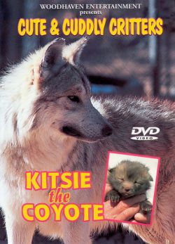 Cute and Cuddly Critters: Kitsie the Coyote