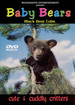Cute and Cuddly Critters: Baby Bears