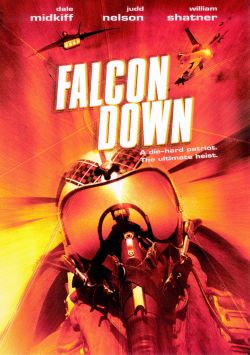 Falcon Down
