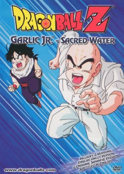 DragonBall Z: Fight with Piccolo
