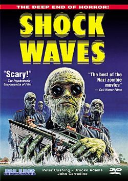 Shock Waves