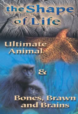 The Shape of Life, Episode 8: Bones, Brawn & Brains