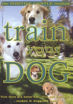 Train Your Dog