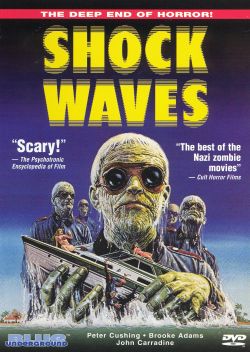 Shock Waves