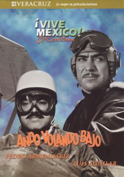 Ando Volando Bajo