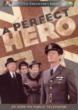 A Perfect Hero