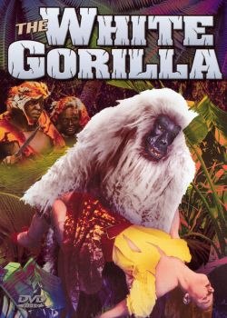 The White Gorilla