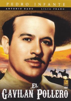 El Gavilan Pollero