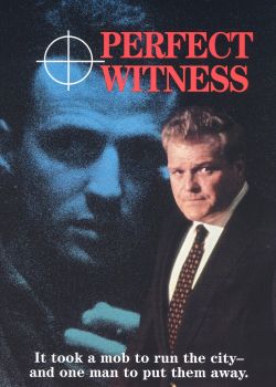 Perfect Witness
