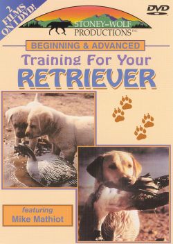 Advanced Training For Your Retriever