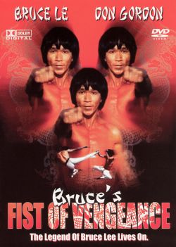 Bruce's Fists of Vengeance