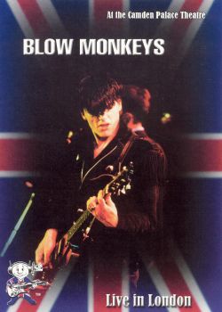 Blow Monkeys: Live In London