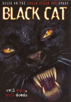 Black Cat