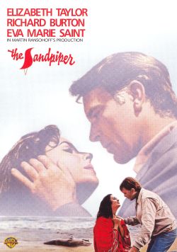 The Sandpiper