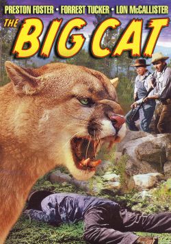 The Big Cat