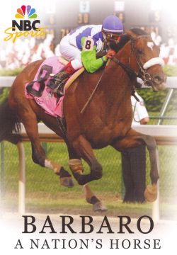 Barbaro: A Nation's Horse