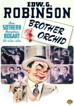 Brother Orchid