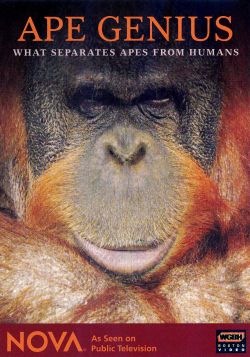 NOVA: Ape Genius