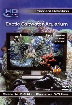 Exotic Saltwater Aquarium