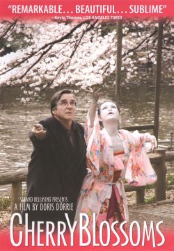 Cherry Blossoms