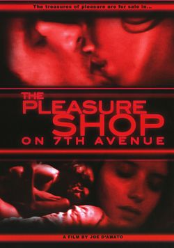 Il Porno Shop della Settima Strada