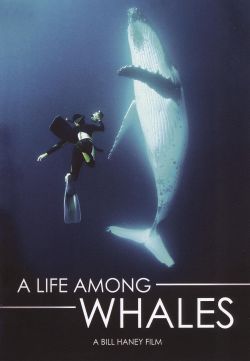 A Life Among Whales