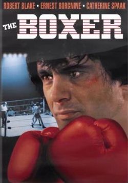 The Boxer