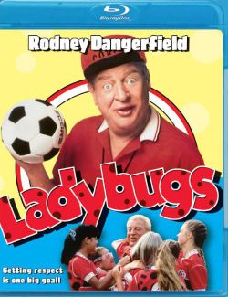 Ladybugs