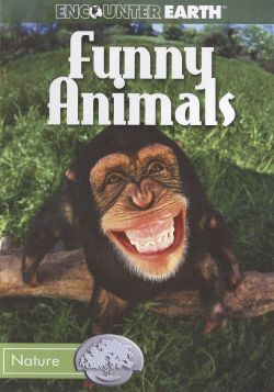 Funny Animals