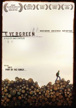 Evergreen