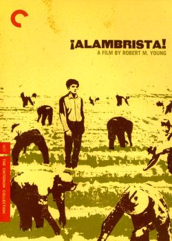 Alambrista!