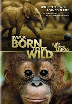 Born to Be Wild