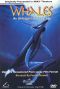 Whales: An Unforgettable Journey