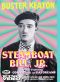 Steamboat Bill, Jr.