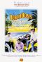 The Beach Boys: Endless Harmony - The Beach Boys Story
