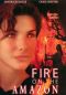 Fire on the Amazon