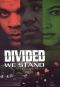 Divided We Stand