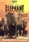 Africa's Elephant Kingdom