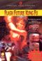 Flash Future Kung Fu