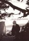 Wild Strawberries